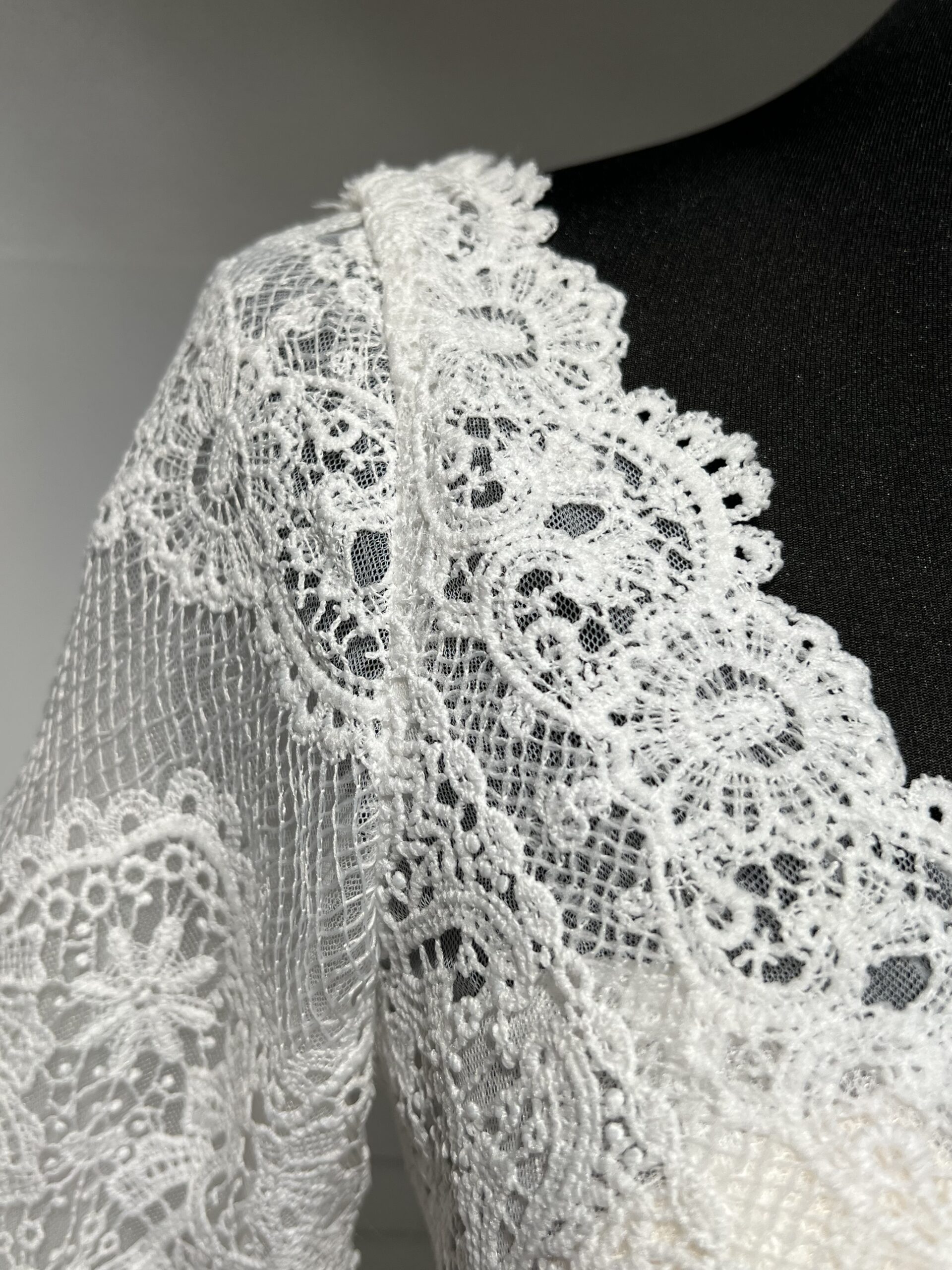 Robe de mariée élégante, manches longues en dentelle, décolleté en V, jupe en tulle fluide.
